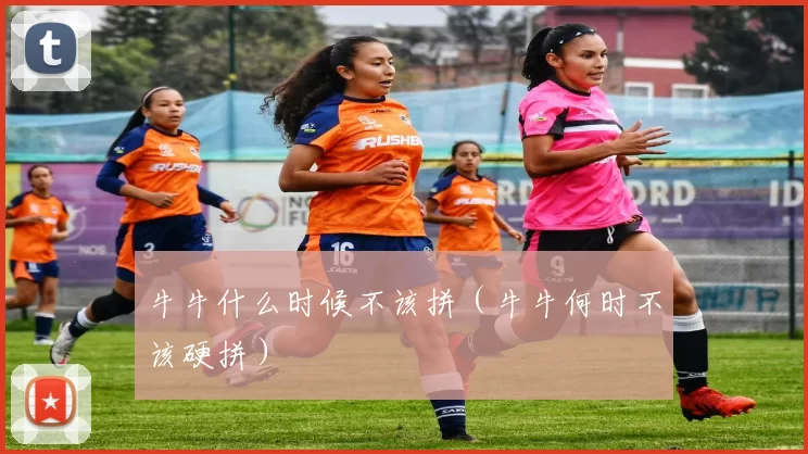 牛牛什么时候不该拼（牛牛何时不该硬拼）