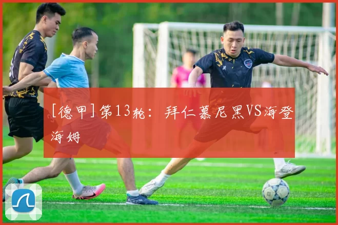 [德甲]第13轮：拜仁慕尼黑VS海登海姆