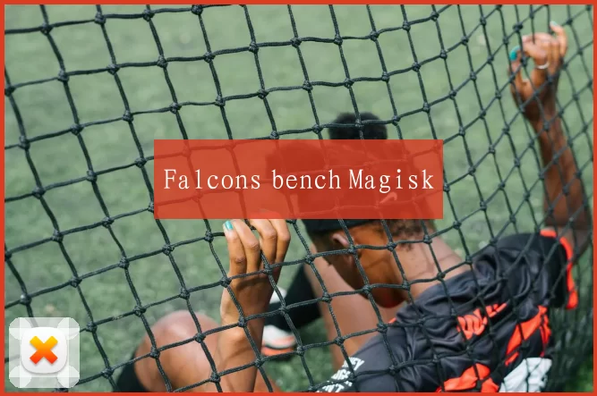 Falcons bench Magisk