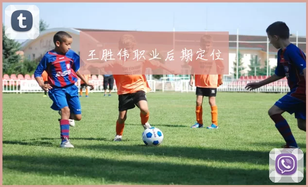 王胜伟职业后期定位