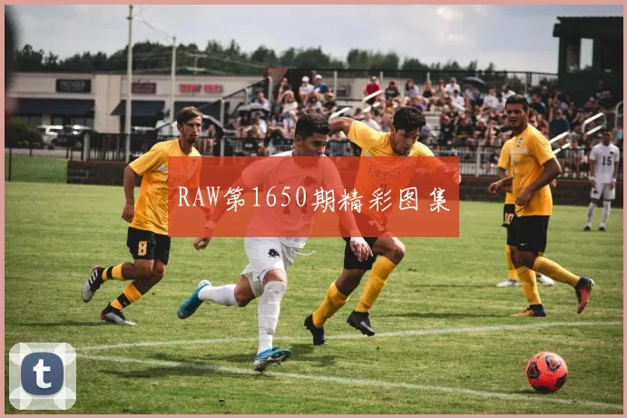 RAW第1650期精彩图集