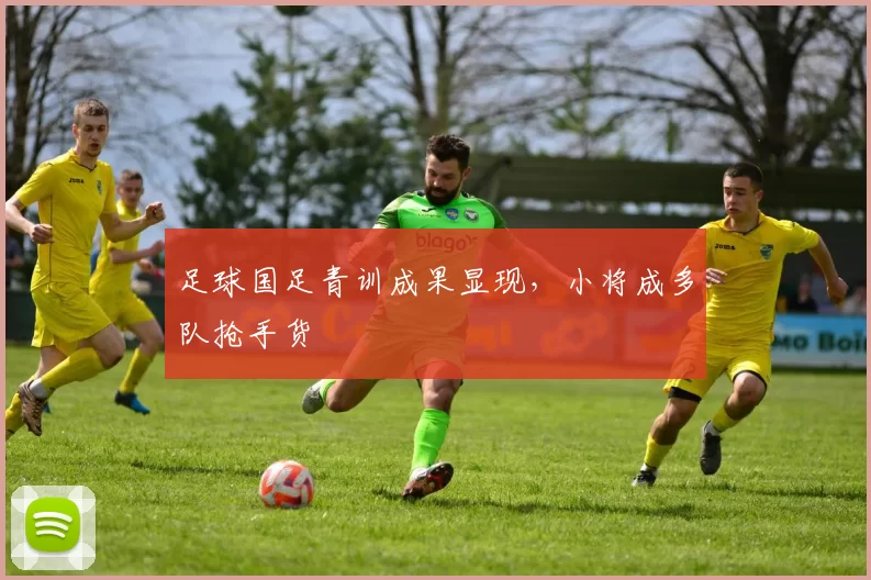 足球国足青训成果显现，小将成多队抢手货