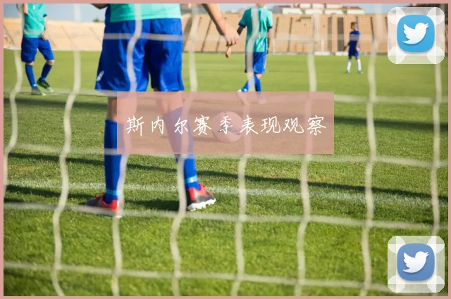 斯内尔赛季表现观察