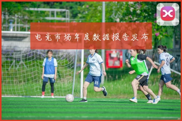 电竞市场年度数据报告发布